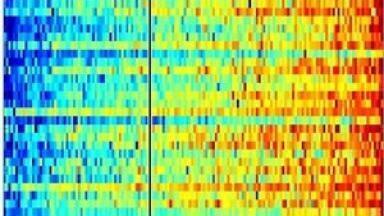 Electrophoretic fluorescence used to seek melanoma biomarkers