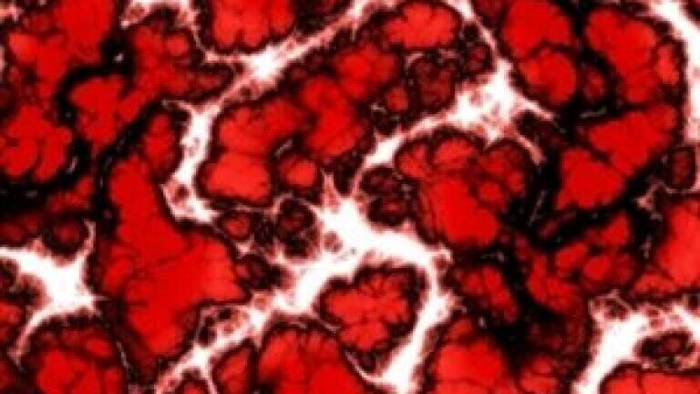 Quantitative analysis of chicken proteins yields potential for adipogenesis