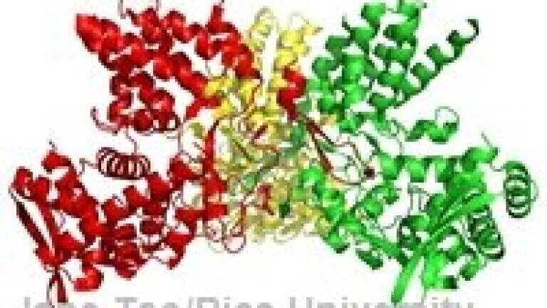 Biologically active substances 'of new interest' in food