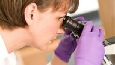 Liquid chromatography 'overcomes incompatibilities' between 2-DE and proteins