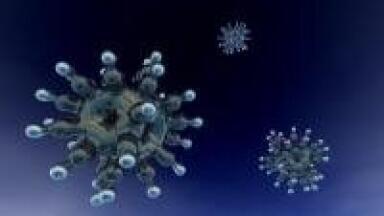 Quantitative analysis finds UTMD raises in vivo tissue transfection