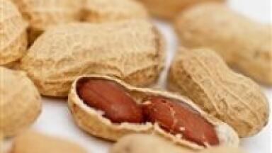 Quantitative analysis leads to potential for impervious peanuts