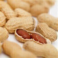 Quantitative analysis leads to potential for impervious peanuts