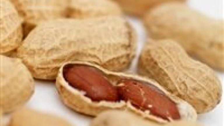 Quantitative analysis leads to potential for impervious peanuts
