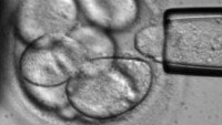 Gene splicing could improve pharma understanding of human genome
