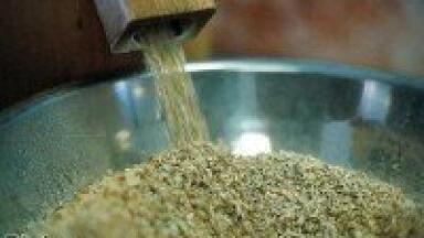 Quantitative analysis with GE-MS deciphers wheat flour complexities