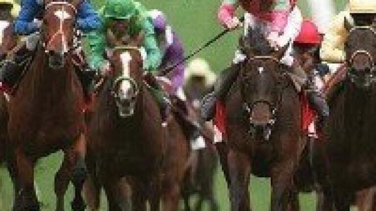 Vet struck off after horse-racing drug detection scandal