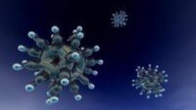 Analytical chemistry helps to profile COPD impact on SP-D
