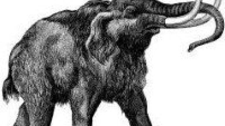 Mass spectrometry helps identify ancient bones