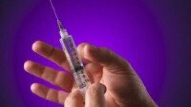 BCG vaccines studied with quantitative analysis