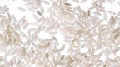 New protein-protein interaction of rice database created