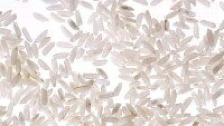 New protein-protein interaction of rice database created
