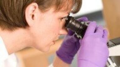 Scientists review enzymes for industrial prebiotic applications