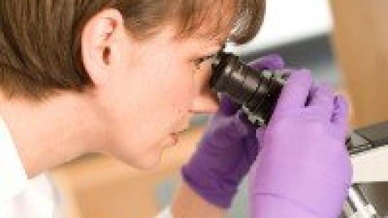 Scientists review enzymes for industrial prebiotic applications