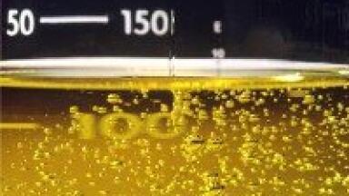 GC used in fatty acid study