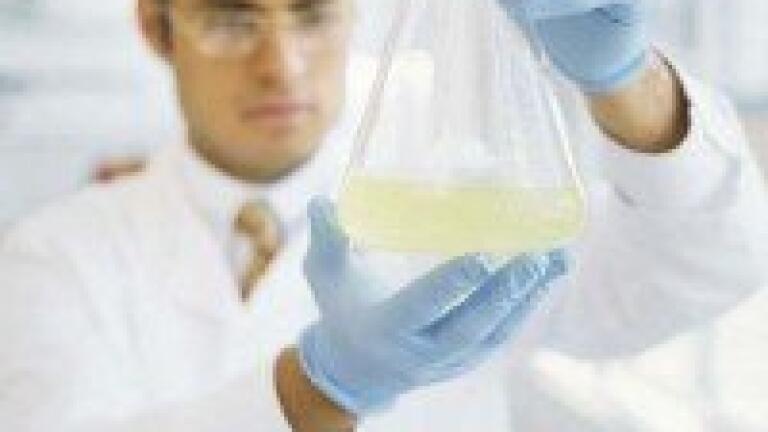 Novel subtilase discovered through analytical chemistry