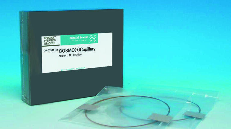 ’’Novel Cationic Polymer  Coated Capillary Column’’