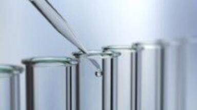 Novel Chk1 substrates have been identified