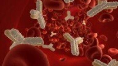 Quantitative analysis used in platelet study