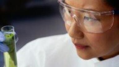Quantitative analysis used in larvae study