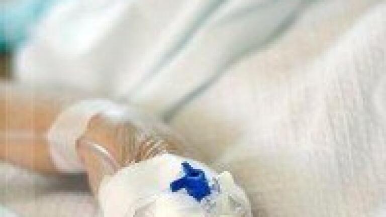 HPLC used in shock study