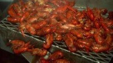 HPLC method used to test shellfish for toxins