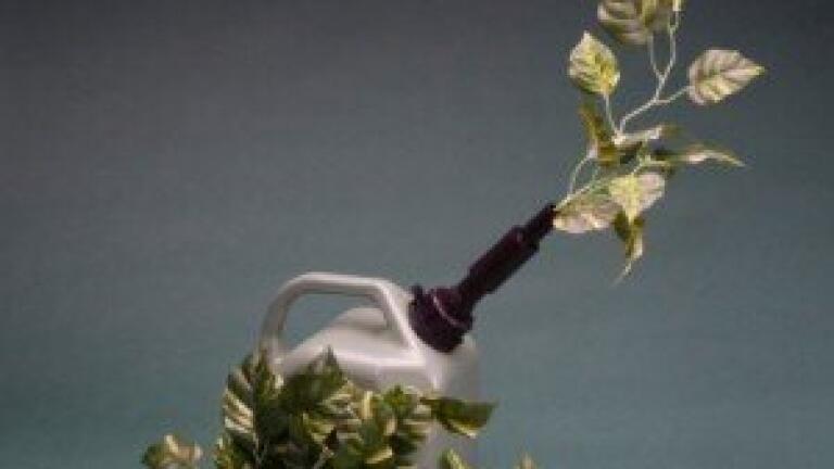 GCMS used in biofuel study