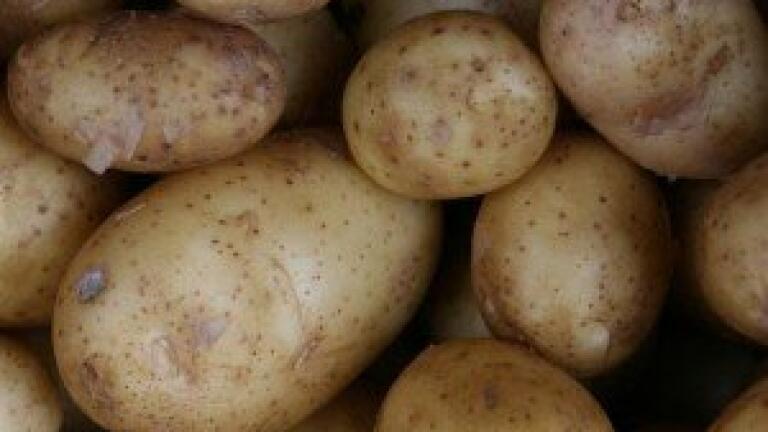 Physical map of potato created