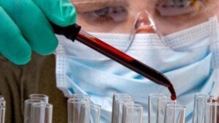 Rapid identification of Staphylococcus aureus in blood cultures developed