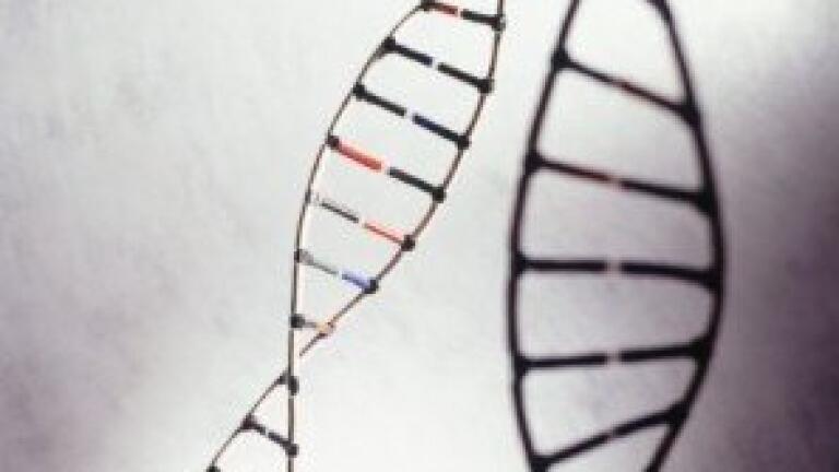 MSE method provides qualitative information of methylated sequence profile