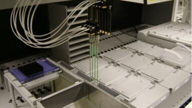 Chromatographic characterisation and purification techniques for BioPharm.