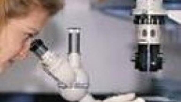 MALDI-TOF-MS analysis used to identify biomarkers in TB drug analysis