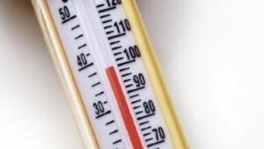 Fluorescent polymer thermometer maps temperature differences in cells