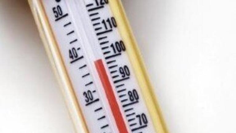 Fluorescent polymer thermometer maps temperature differences in cells