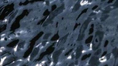 Fluorescent biosensor could detect chemicals in water