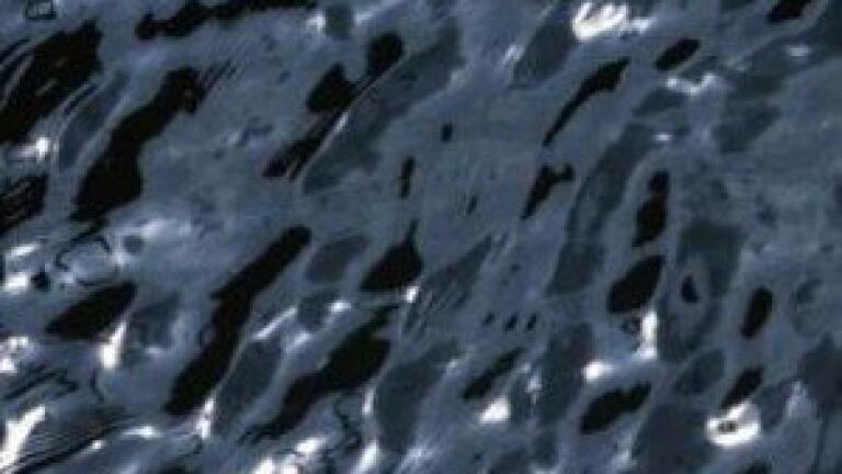 Fluorescent biosensor could detect chemicals in water