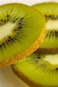 New Zealand kiwifruit industry threatened by PSA virus
