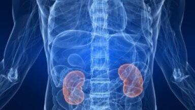 Fluorescence imaging technology 'allows partial kidney removal'