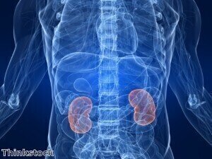 Fluorescence imaging technology 'allows partial kidney removal'