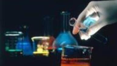 Organised chaos promoted by French researchers