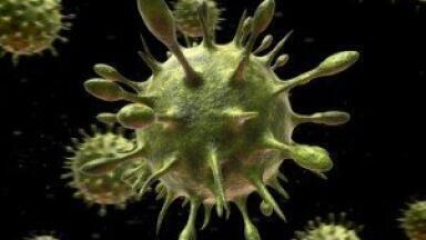 Antibody cocktail research helps tackle Ebola virus