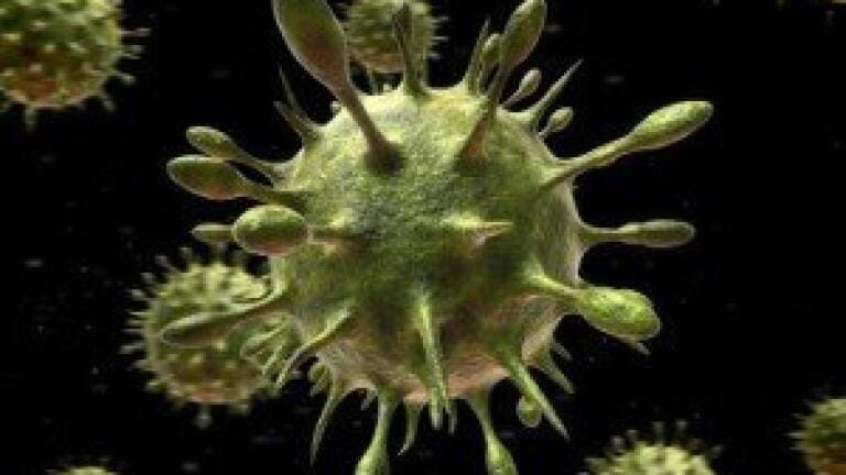Antibody cocktail research helps tackle Ebola virus