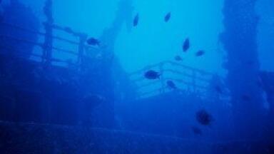 Conservation secrets revealed in ancient warship