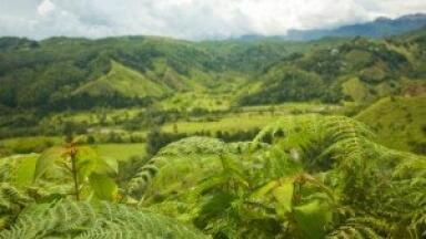 Remote Amazon tribe found to naturally produce antibodies against the rabies virus