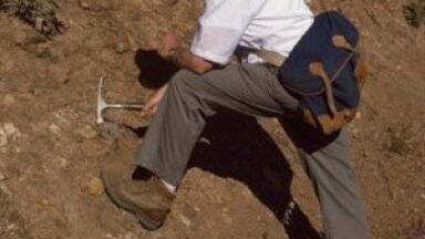 Aussie scientists borrow geological technology to map trace elements in the body