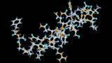 Biopharmaceutical Discovery