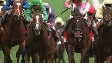 Doping tests also work on horses