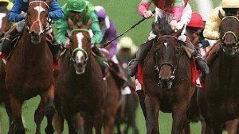 Doping tests also work on horses