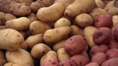 Drinking juice from cloves and potatoes could cure stomach, peptic and duodenal ulcers