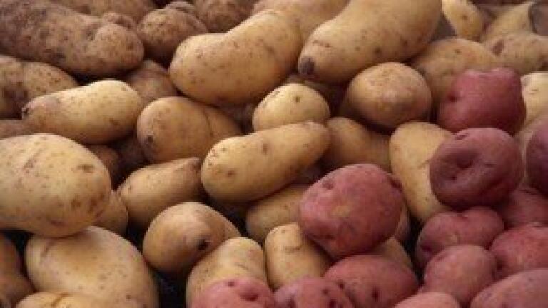 Drinking juice from cloves and potatoes could cure stomach, peptic and duodenal ulcers